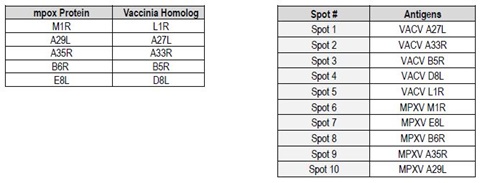 Plates are coated with 5 mpox antigens (M1R, E8L, B6R, A35R, and A29L) and five analogous vaccinia viral antigens (A27L, A33R, B5R, D8L, and L1R).